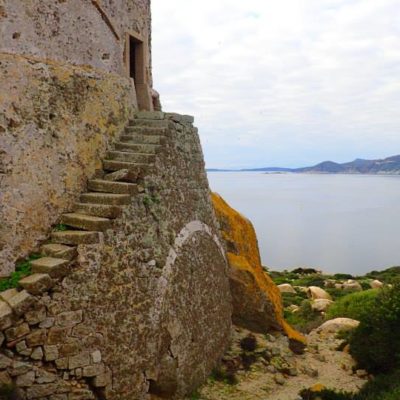 isola_serpentara_37